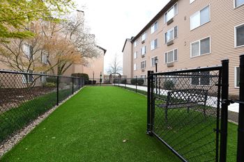 Dog park 1